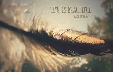 life-is-beautiful-quotes-3